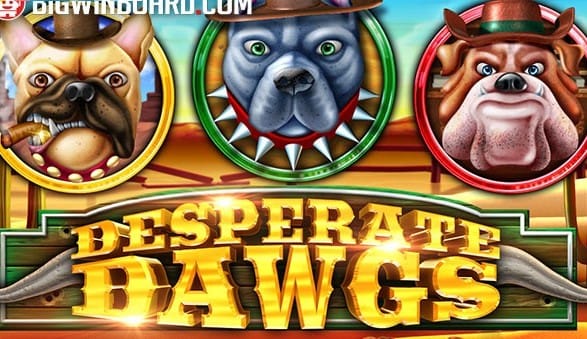 Desperate Dawgs